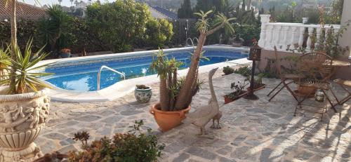 Villa Estrella