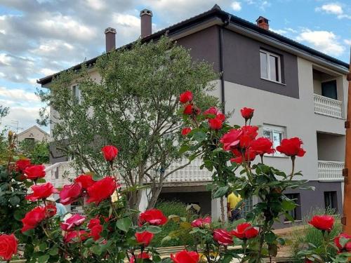  Apartments Krunes in Biograd na Moru