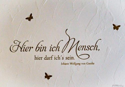 Hotel Sonne - image 4