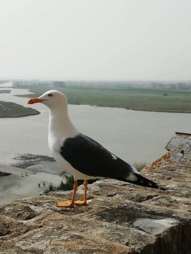 Maison de village a 5km du Mont St Michel gîte à louer Moidrey