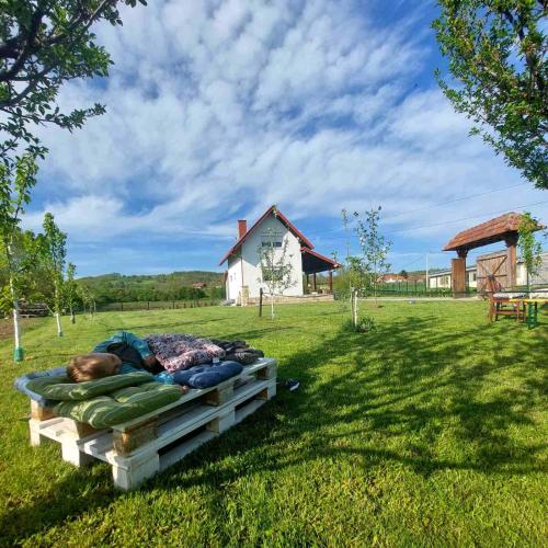 Sunny Funny House - image 2