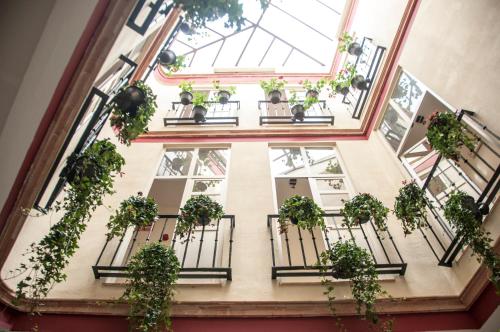 Hostal Callejon del Agua - image 13