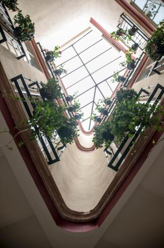 Hostal Callejon del Agua - image 5