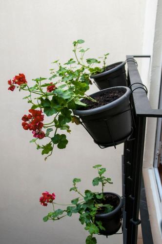 Hostal Callejon del Agua - image 2