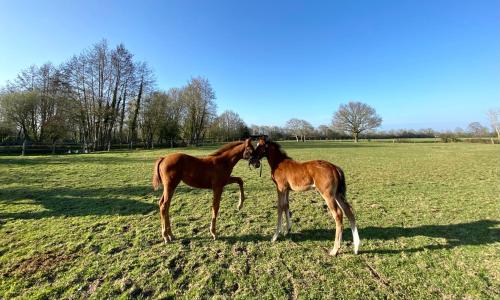 La Longere du Haras