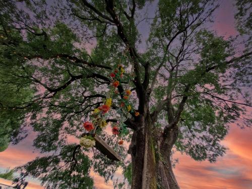  Garda Relais Antica Romelia in Montichiari