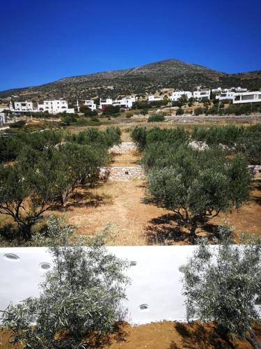 Drios Luxury Studios