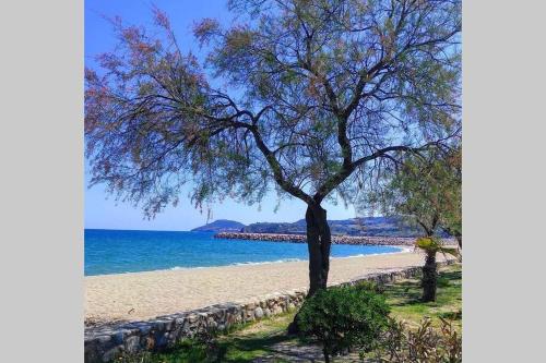 Résidence Le Lagon - En bord de mer et proche des commerces - Climatisation - 2 chambres -Terrasse - Vue montagne