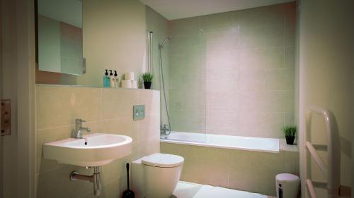 One-Bedroom Apartment image 9