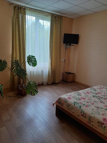 Прайд Кривой Рог