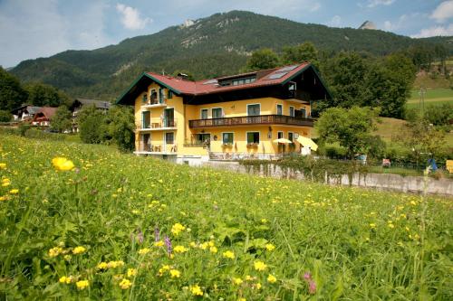 Haus Daheim - Apartment - St. Wolfgang