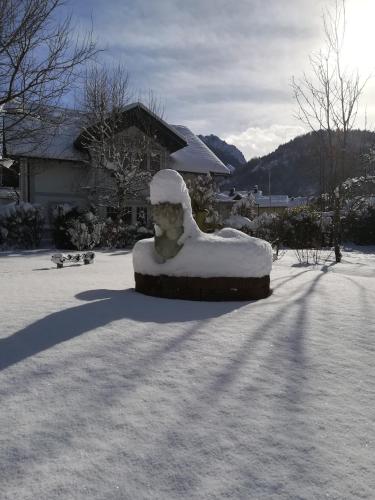 Appartementhaus Grill - image 5