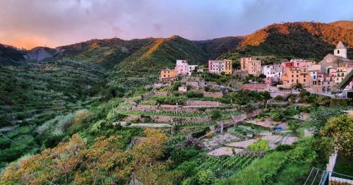 Accommodation in Corniglia