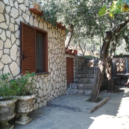 La Mandra, cottage tra gli ulivi, Vico Equense (fotografie 2)