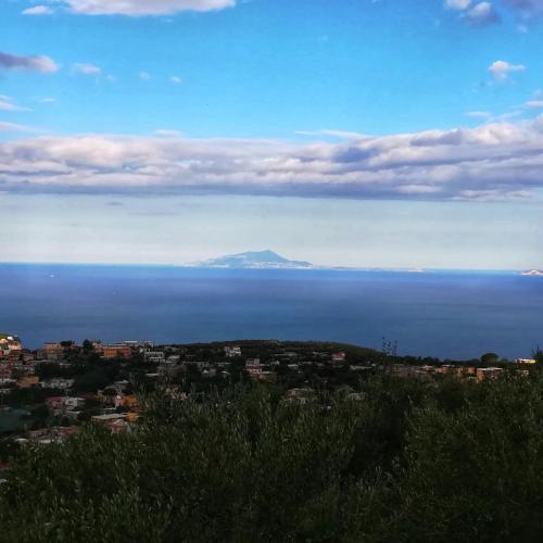 La Mandra, cottage tra gli ulivi, Vico Equense (fotografie 9)