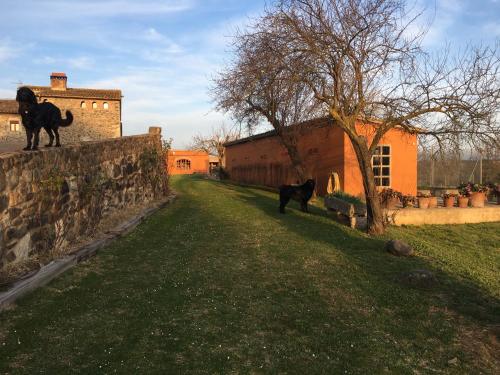 Mas Teixidor, Masia entre Girona y la Costa Brava