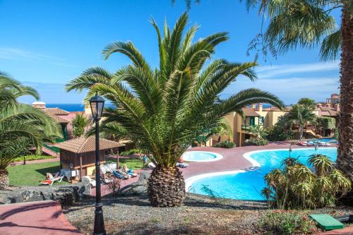 Apartamentos Oasis San Antonio - image 8