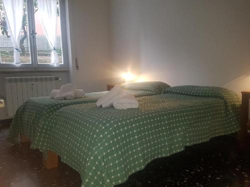 Sans Souci Apartment- in the center near the beach Sans Souci Apartment- in the center near the beach