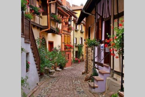 Gite à Eguisheim proche de Colmar et Kaysergberg.