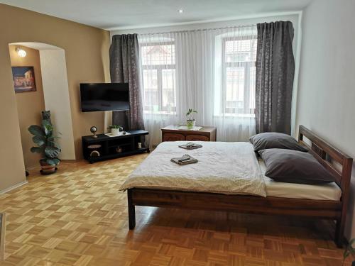 Apartmán Antonínská - image 8