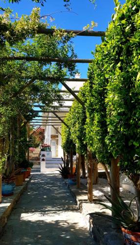  La Casa di Dolly in Galanádhon