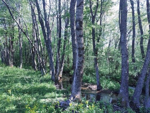 Velebit Lodge