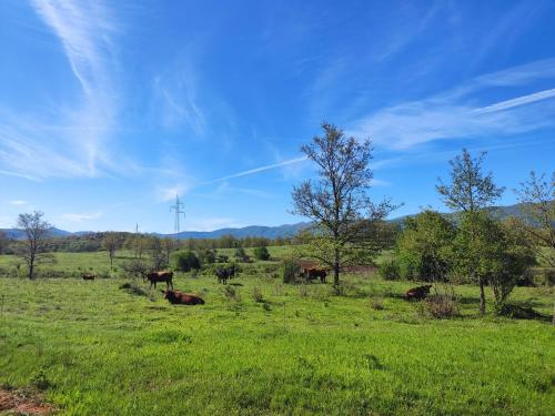 Velebit Lodge