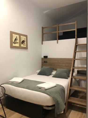 1 double bed, 1 sofa bed