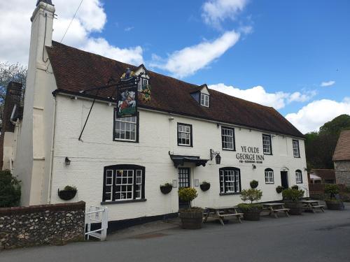 Ye Olde George Inn - Badger Pubs - image 4