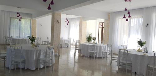 Pensiunea Magnolia din Tismana in Tismana