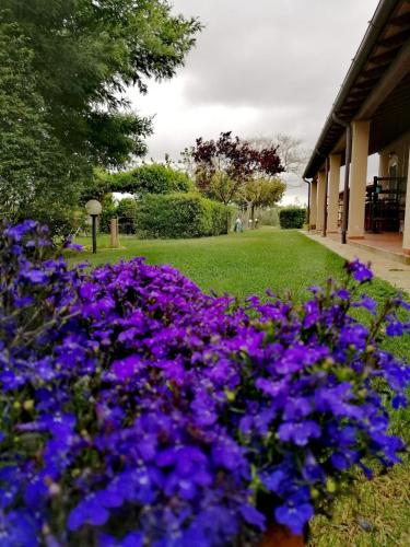  Podere Montecorno in Alberese