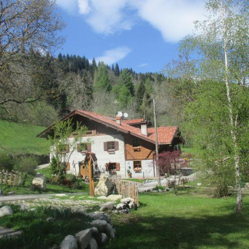 Accommodation in Madonna di Campiglio