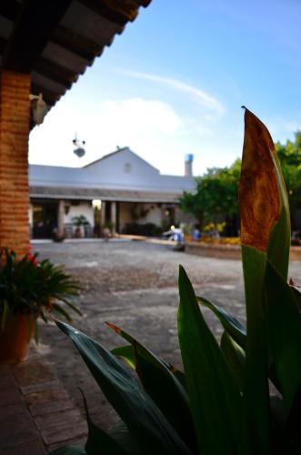 Cortijo Mesa de la Plata