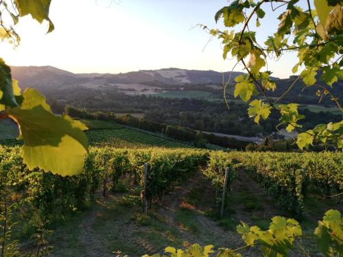 Apkārtne, Naturaliterre Agriturismo - Microfattoria in Dovadola