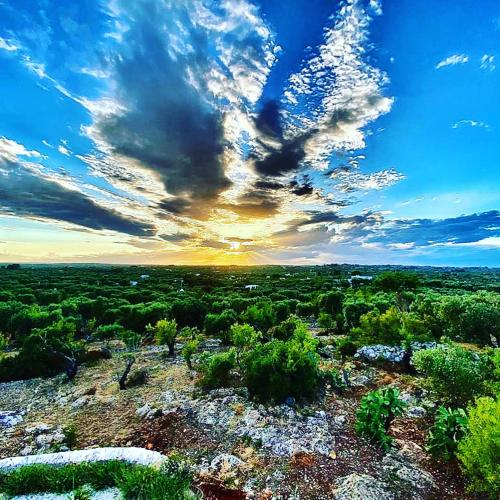 Tenuta Trullo Padronale-Private Pool Exclusive Villa Ostuni