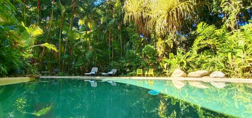 Daintree Rainforest Retreat