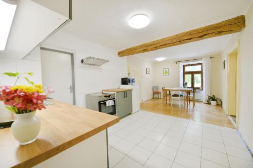 virtuve, Penzion Na Plácku (Penzion Na Placku) in Lišov