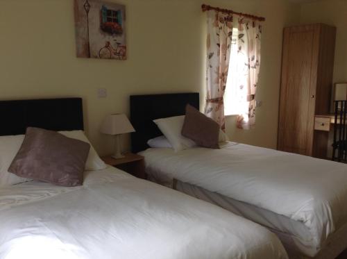 Deerpark Manor Bed and Breakfast - image 2