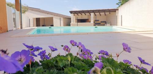 la Villa de l'Orme gîte à louer Pezens