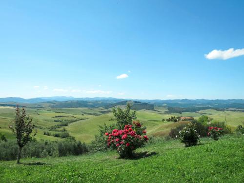  Locazione Turistica Casallario - VOL151, Pension in Volterra