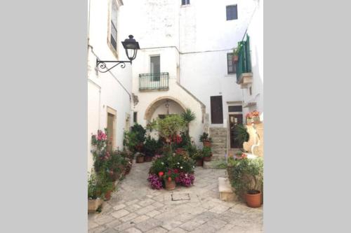Do Pruinc – Locorotondo, LA