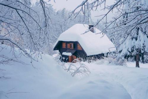 Cottage in the woods - Lake Bohinj, Bohinj (foto 2)