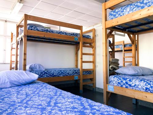 Bunk Bed in Mixed Dormitory Room