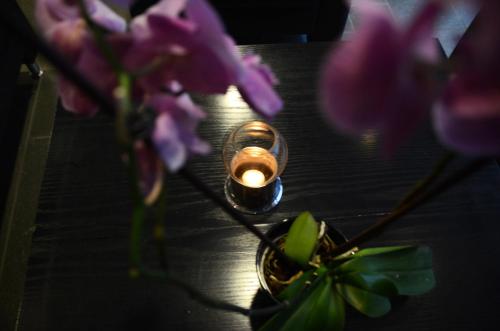 Zefyr Hotel – Bodo, CO