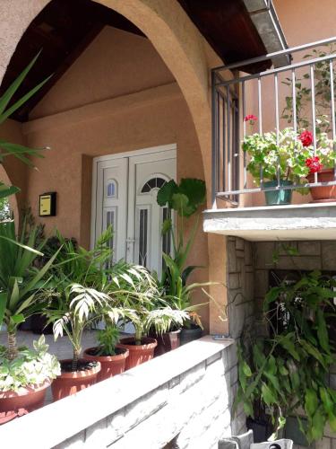 . Sokobanja apartman Aviva