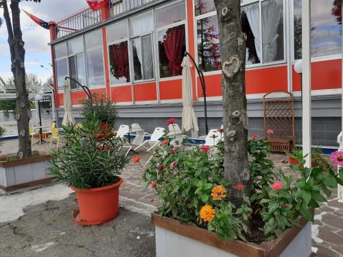 Hotel Paradiso 2