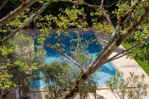 B&B Le Clos d'Argenson - 정원