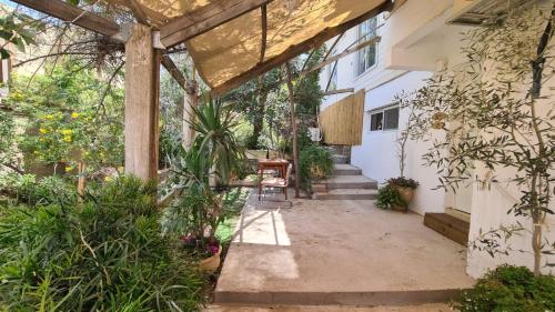 Surrounding environment, Olives in Rotem