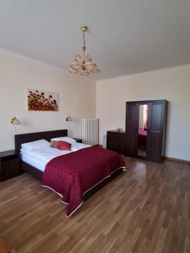 Large Studio Apartment room in Lacplesa Central Apartments