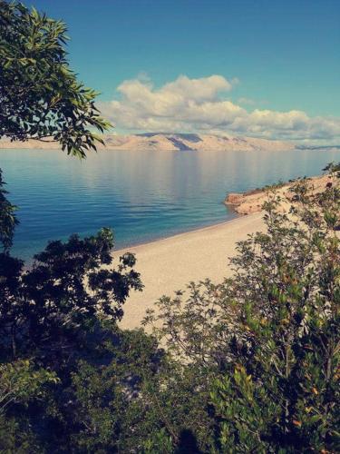  Apartment Ampulica 1 in Senj